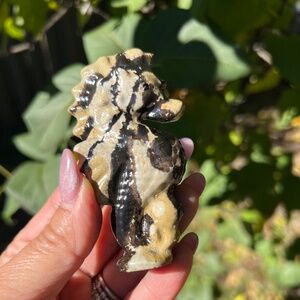 Picture jasper (1) seahorse craving | crystal